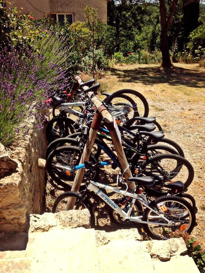 Campsite L'avelanede